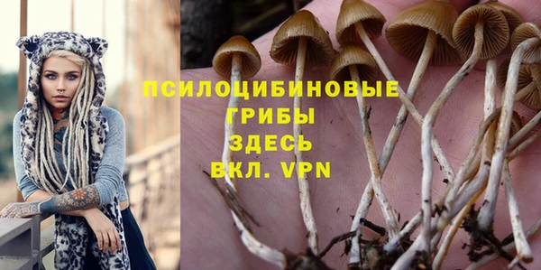 спиды Балабаново