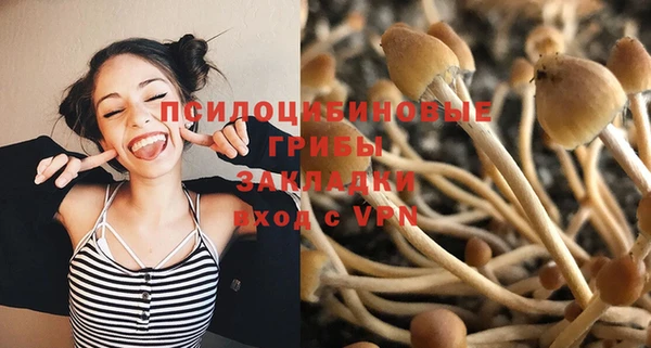 мет Балахна